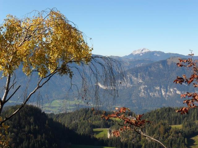 Hausbergerhof Gaestehaus Ainberger Brixlegg Exterior foto